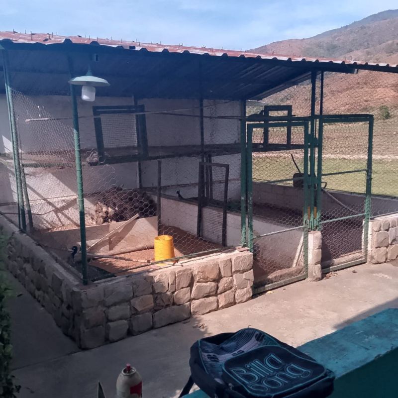 Propiedad